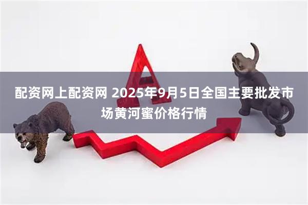 配资网上配资网 2025年9月5日全国主要批发市场黄河蜜价格行情