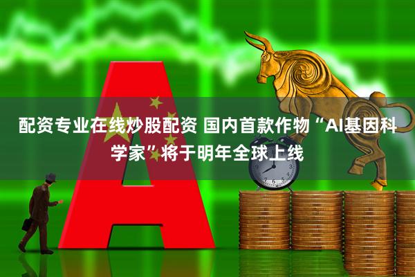 配资专业在线炒股配资 国内首款作物“AI基因科学家”将于明年全球上线
